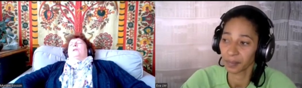 5. Bien-être animal - Pitchoun le chat