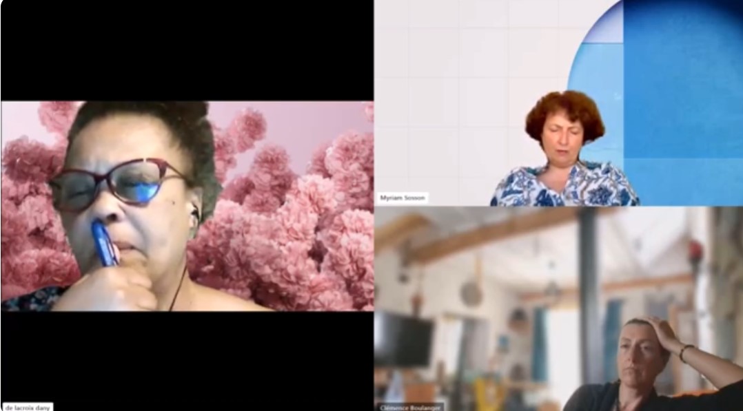 61. Bien-être animal - Merlin le chat